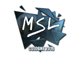 CS2 MSL