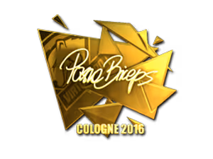 pashaBiceps (Gold) | Cologne 2016 sticker