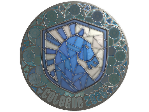 Sticker skin