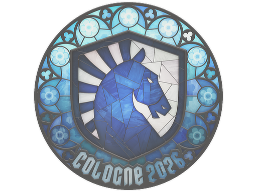 Sticker skin