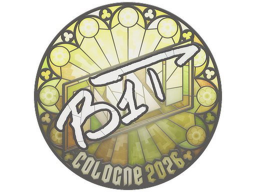Sticker skin