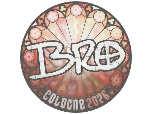 br0 - CS2 Sticker