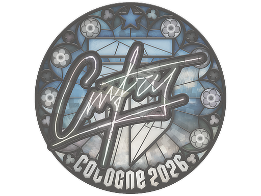 Sticker skin