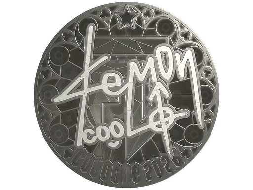 Sticker skin