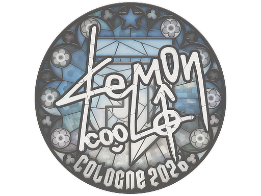 Sticker skin