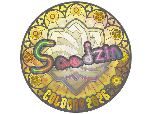 Sticker skin