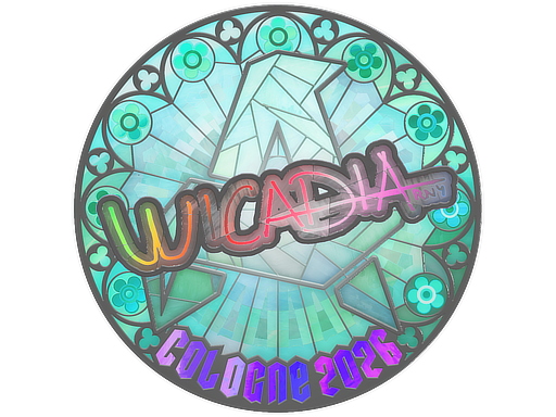 Sticker skin