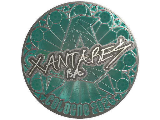Sticker skin