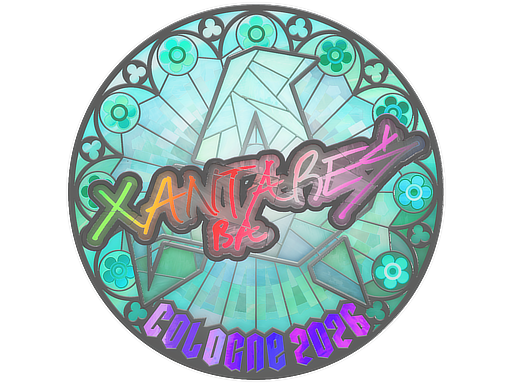 Sticker skin