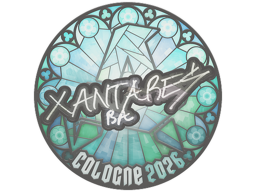 Sticker skin