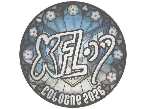 Sticker skin