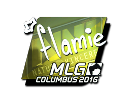 CS2 flamie