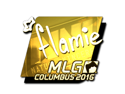 CS2 flamie