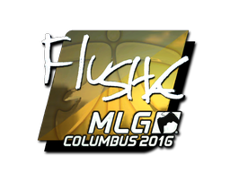 CS2 flusha