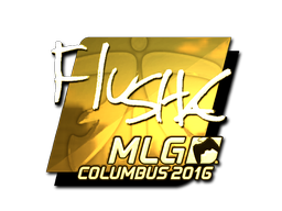 CS2 flusha