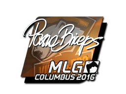CS2 pashaBiceps