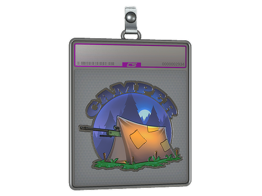 Sticker Slab | Camper