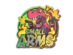 CS2 Sticker | Small Arms (Holo)