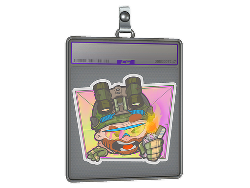 Sticker Slab | Try Hard (Holo) - CS2 Sticker