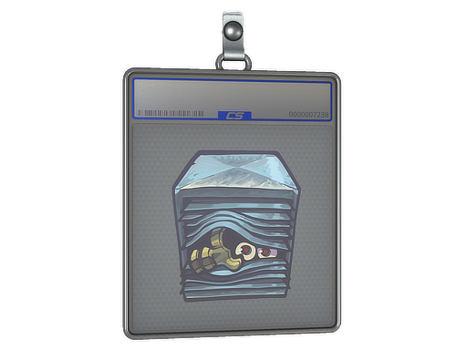 Sticker Slab | Peek-A-Boo - CS2 Sticker