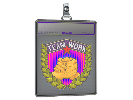 Sticker Slab | Teamwork - CS2 Sticker