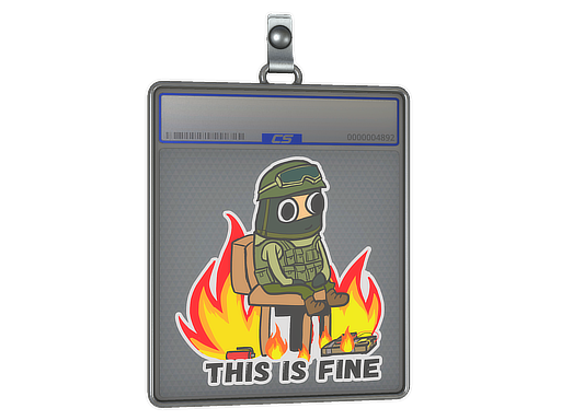 Sticker Slab | This Is Fine (CT) - CS2 Sticker