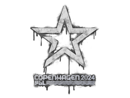 Sealed Graffiti | Complexity Gaming | Copenhagen 2024 | Default