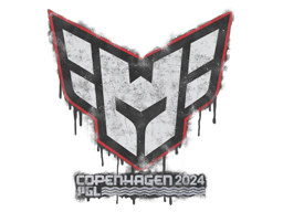 CS2 Sealed Graffiti | Heroic | Copenhagen 2024