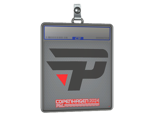 paiN Gaming - CS2 Sticker
