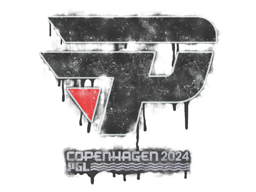 CS2 Sealed Graffiti | paiN Gaming | Copenhagen 2024