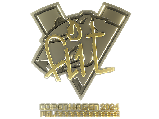 CS2 FL1T