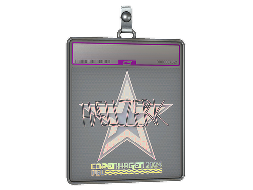 hallzerk - CS2 Sticker