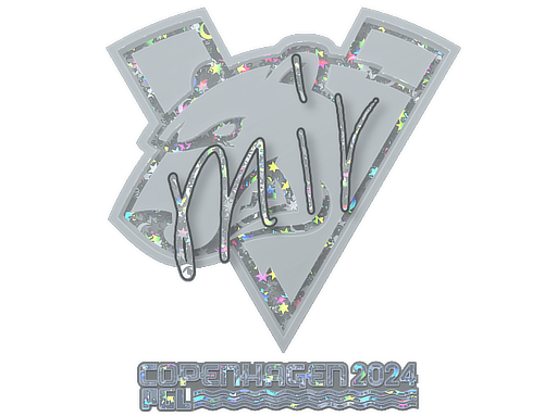 CS2 mir