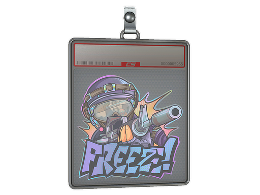 Sticker Slab | Freeze - CS2 Sticker
