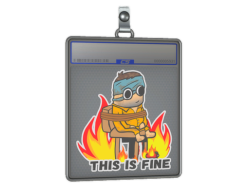 Sticker Slab | This Is Fine (H) - CS2 Sticker