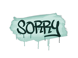 CS2 Sealed Graffiti | Sorry - 13