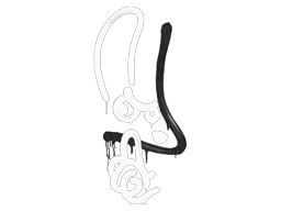 Sealed Graffiti | Recoil M4A1-S | Shark White