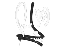 Sealed Graffiti | Recoil M4A4 | Shark White