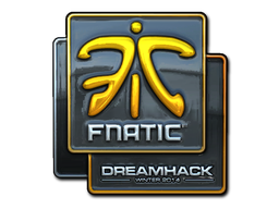 CS2  Fnatic 