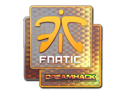 CS2  Fnatic 