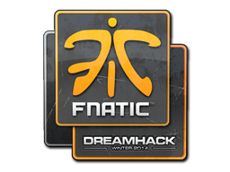 CS2  Fnatic 