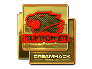 iBUYPOWER (Gold) | DreamHack 2014