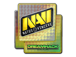 CS2  Natus Vincere 
