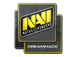 CS2  Natus Vincere 