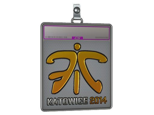 Sticker Slab | Fnatic | Katowice 2014 - CS2 Sticker