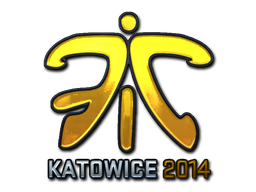 CS2 Sticker | Fnatic | Katowice 2014