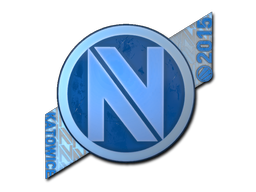 CS2  Team EnVyUs 