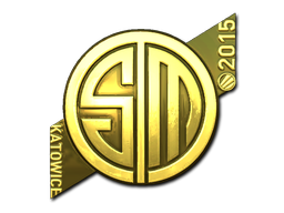 CS2 TSM Kinguin