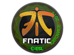 CS2  Fnatic 