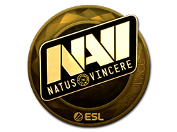 CS2  Natus Vincere 